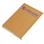 中国政治学会