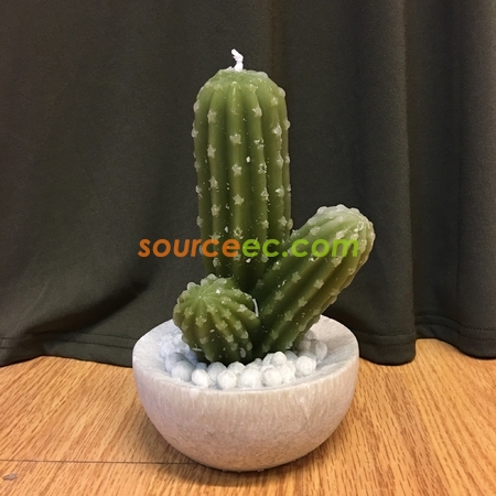 礼品订购仙人掌蜡烛广告