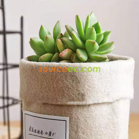 礼品订购毛毡花盆广告