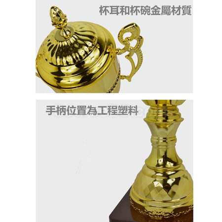 礼品订购超大奖杯广告