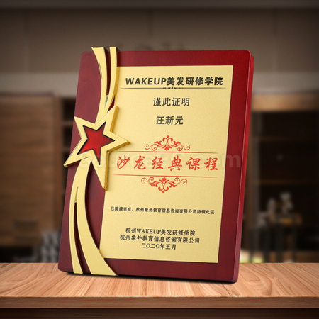 礼品订购金属五星奖牌广告
