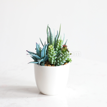 礼品订购仿真绿植广告