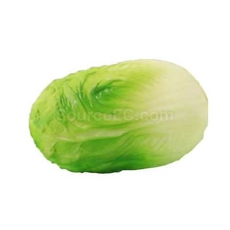 礼品订购仿真蔬菜减压玩具广告