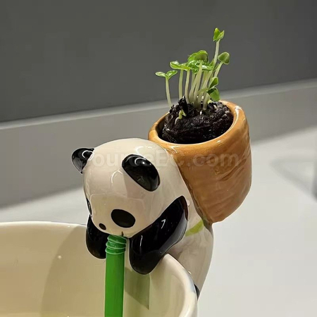 礼品订购创意摆件植物盆栽广告