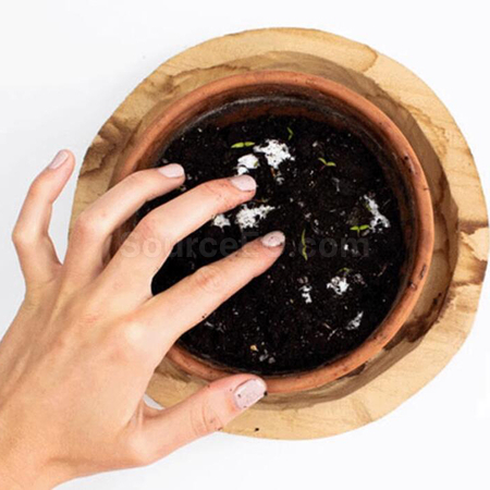 礼品订购种子纸奖牌广告