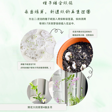 礼品订购种子纸入场证广告