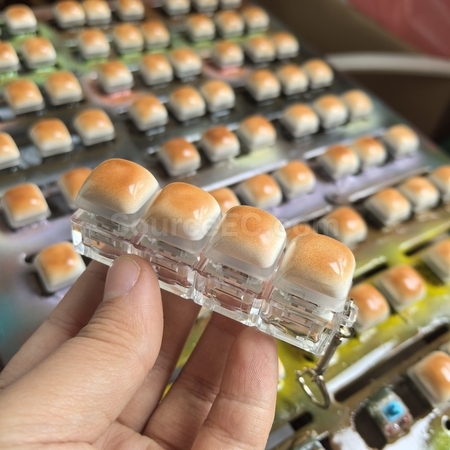 礼品订购焦糖面包指尖减压按键广告