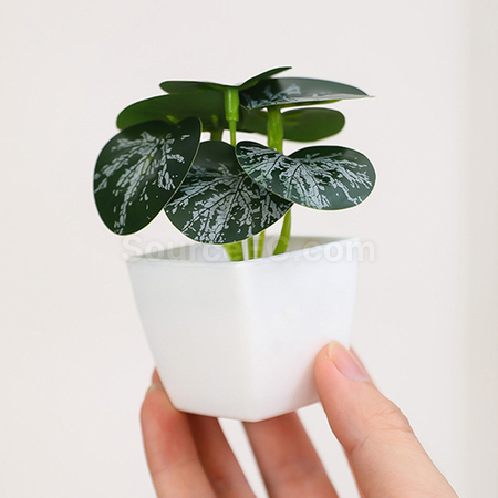 礼品订购仿真绿植小盆栽广告