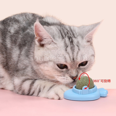 礼品订购猫咪猫薄荷旋转球广告