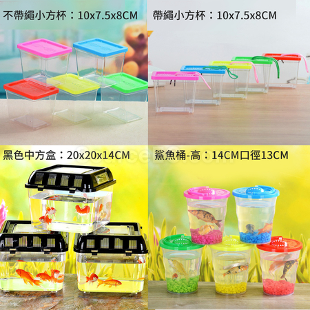 礼品订购塑料乌龟缸金鱼缸广告
