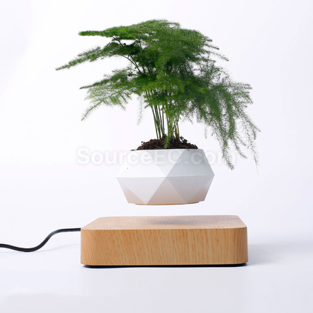 礼品订购磁悬浮盆栽创意盆景(不帶植物)广告