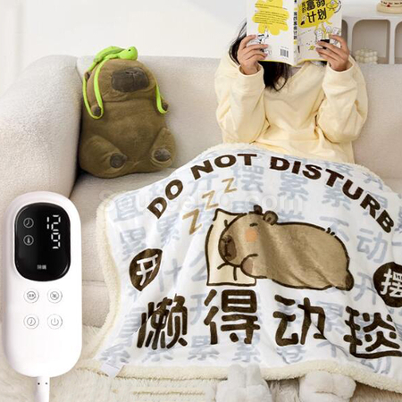 电热毛毯