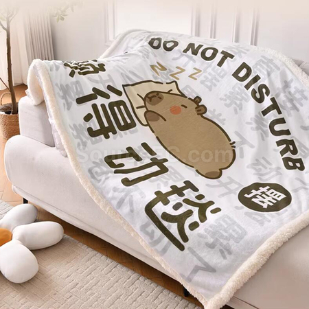 礼品订购电热毛毯广告