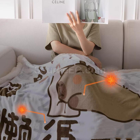 礼品订购电热毛毯广告