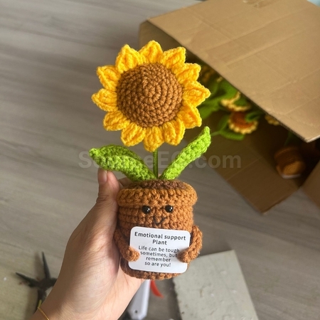礼品订购针织花朵植物盆栽广告