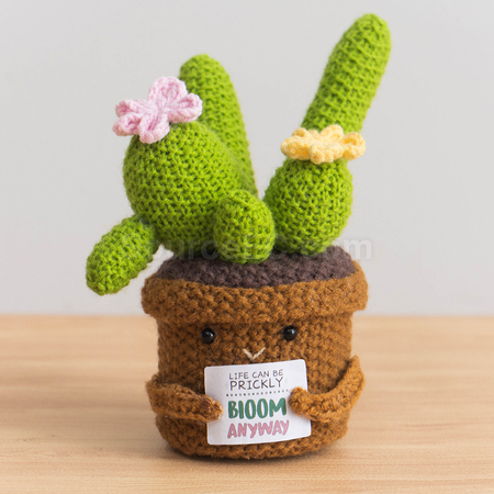 礼品订购针织花朵植物盆栽广告