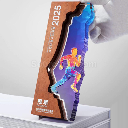礼品订购创意木奖座广告