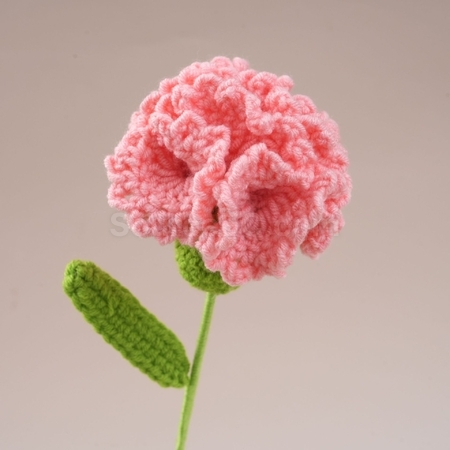 礼品订购扭扭棒康乃馨郁金香花束广告