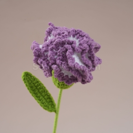 礼品订购扭扭棒康乃馨郁金香花束广告