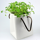 环保盘栽礼品
