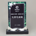亚加力奖牌