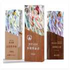 幻彩水晶奖座
